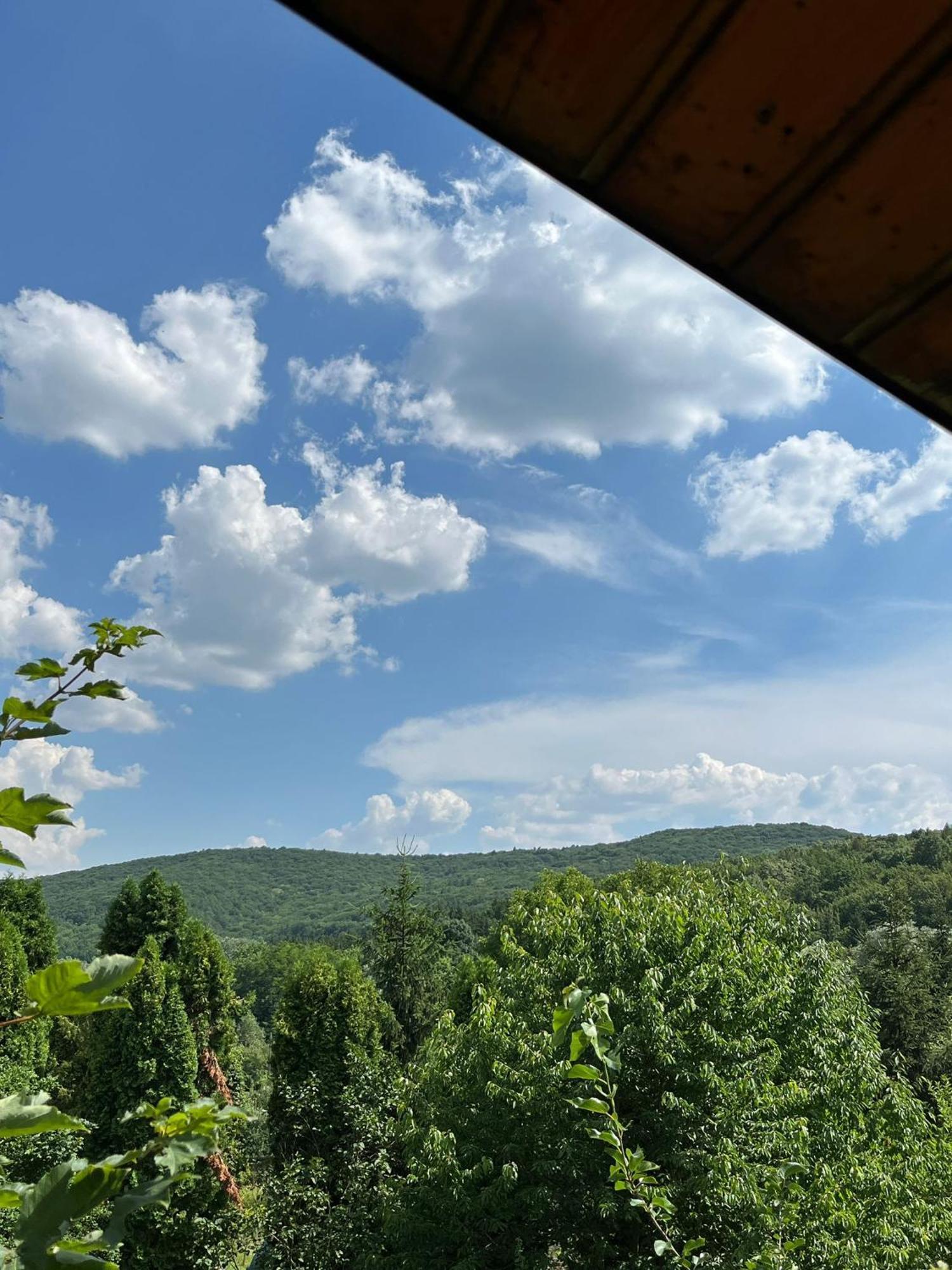 MAXX Lodge Bacău Buitenkant foto